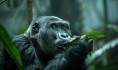 close-up-beautiful-gorilla-wild_23-2151637700