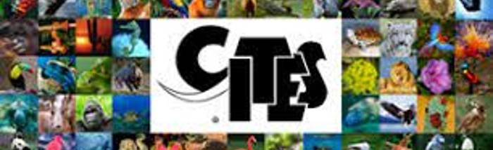 cites-imagen-700x318